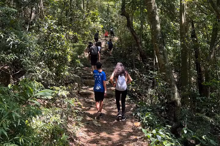 Hikers trekking through lush Tijuca Forest trail surrounded by vibrant greenery, heading towards scenic viewpoints.