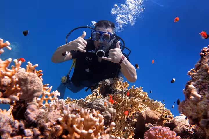 Scuba diver above vibrant coral reef at Tiran Island, Red Sea snorkeling tour with transfers and lunch