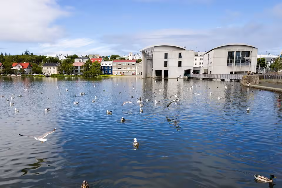 Scenic Tjornin Lake in Reykjavik with seagulls and colorful buildings on a private guided city tour