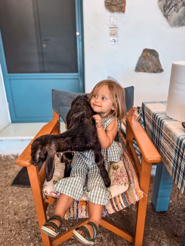 Smiling toddler cuddling a baby goat on a farmhouse chair, Kids First family-friendly farm animal encounter