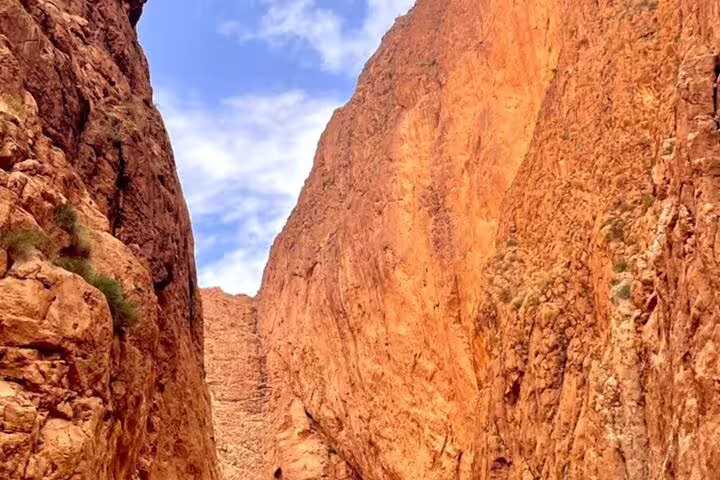 Towering cliffs of Todra Gorge canyon stop on private 6-day Morocco desert tour Casablanca to Marrakech