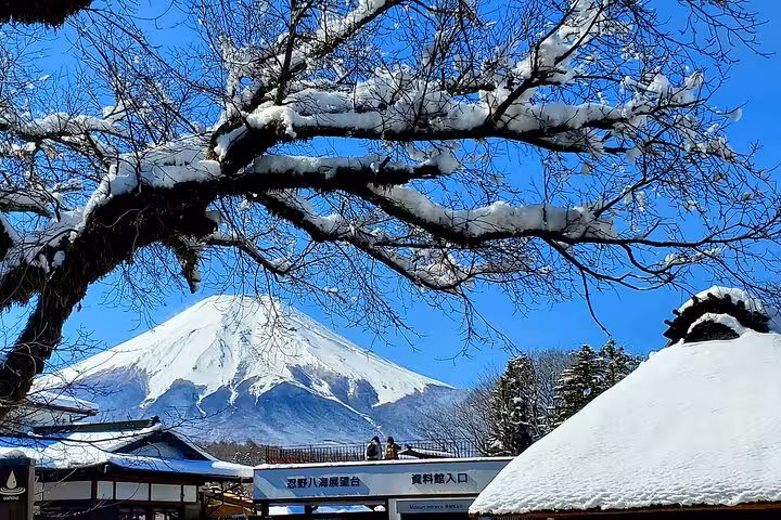 Snow-covered branches frame Mount Fuji against a bright blue sky, highlighting Hakone's winter allure.