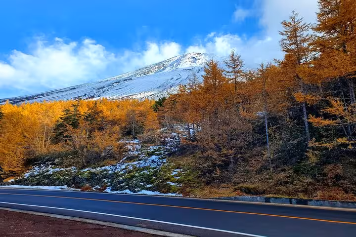 Scenic road leading to Mount Fuji surrounded by vibrant autumn foliage on a Tokyo to Mt. Fuji private tour.