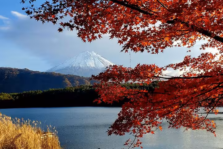 Breathtaking autumn scenery of Mt. Fuji with vibrant red maple leaves, perfect for a private tour experience.