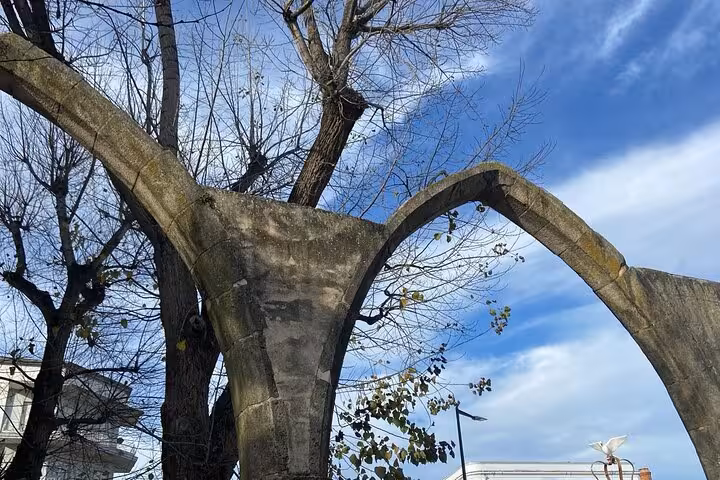 Stone archway entwined with tree branches in Tomar under a bright blue sky on a medieval walking tour.