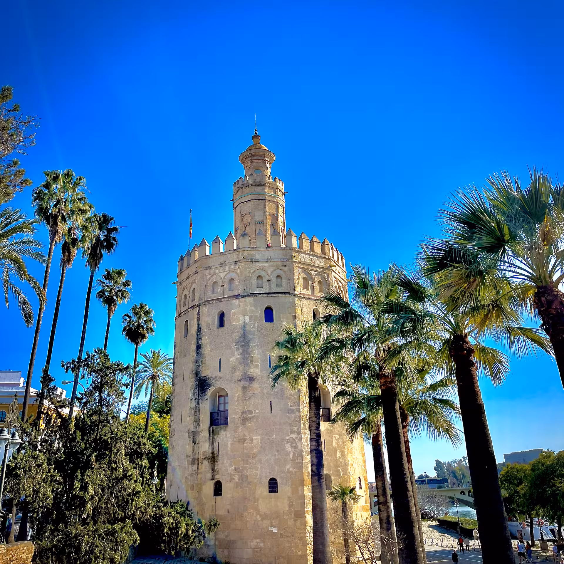 Torre del Oro in Seville with palm trees under blue sky, iconic stop on Encantos Locales + Tablao Flamenco tour