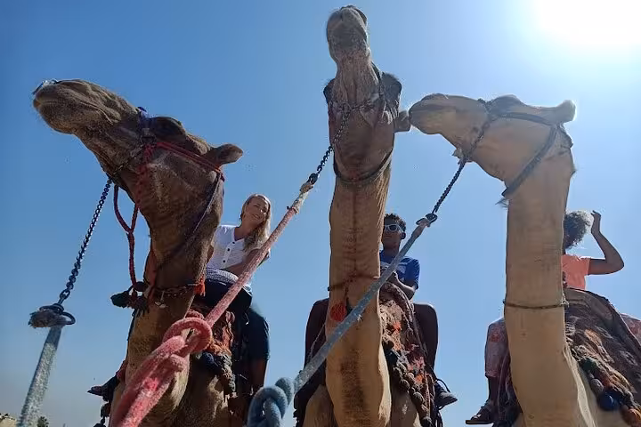 Tourists riding camels in Giza Desert, classic add-on to Grand Egyptian Museum and Pyramids day tour