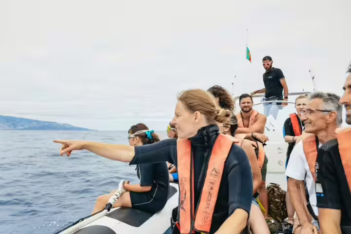 Tourists in life vests excitedly point at dolphins from a boat during a thrilling marine wildlife experience.