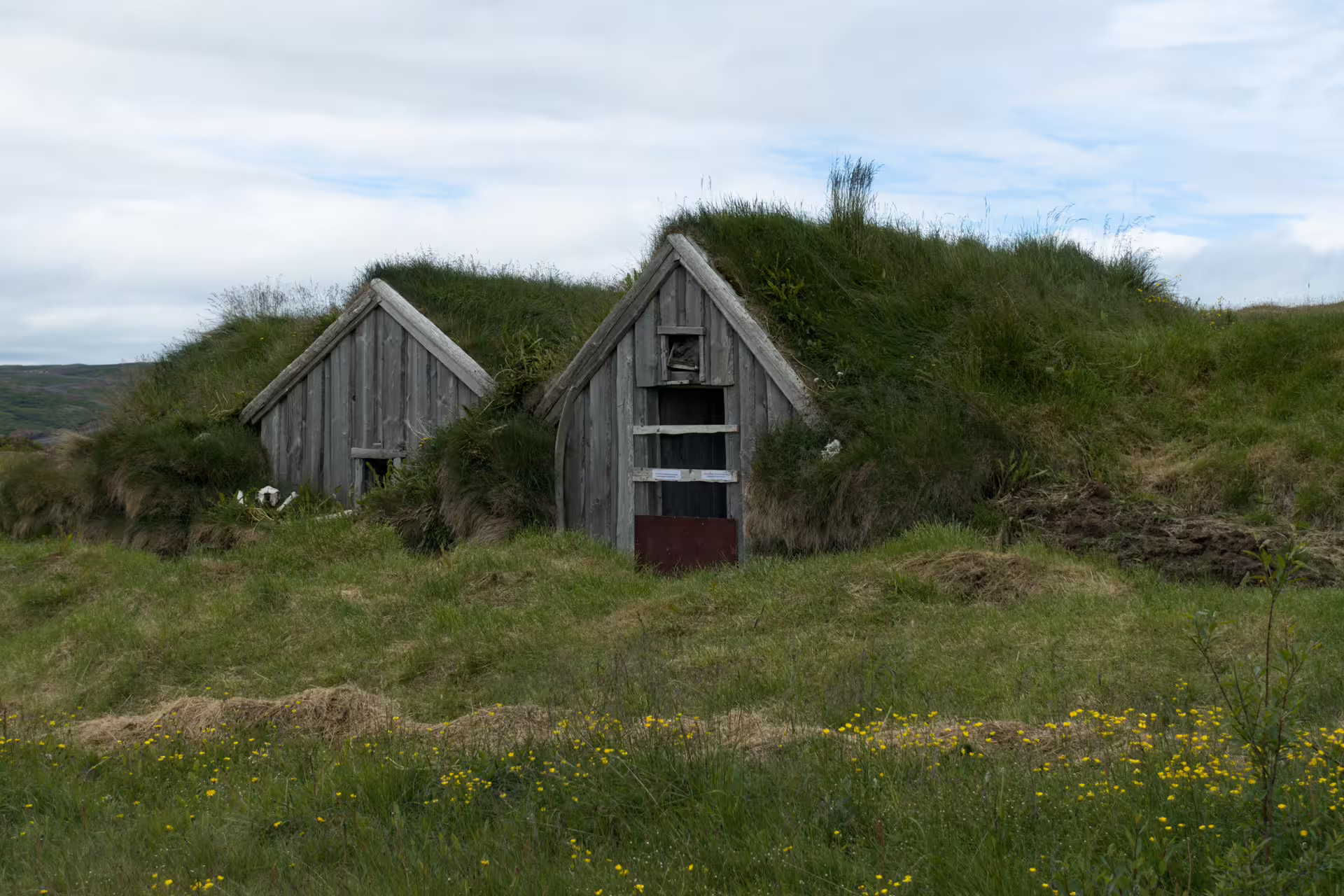 Traditional Icelandic turf houses with grass-covered roofs set in a green meadow on a Grand Tour of Iceland.