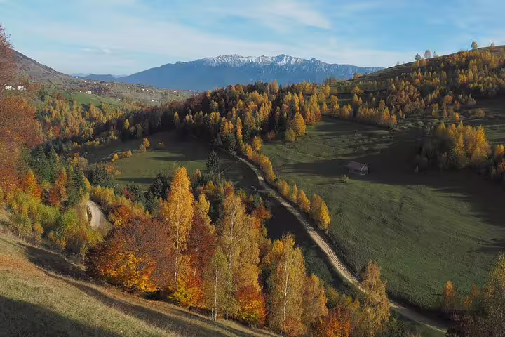 Aerial view of Transylvania valley with autumn trees, green meadows, winding dirt road, and snow-capped Carpathian Mountains