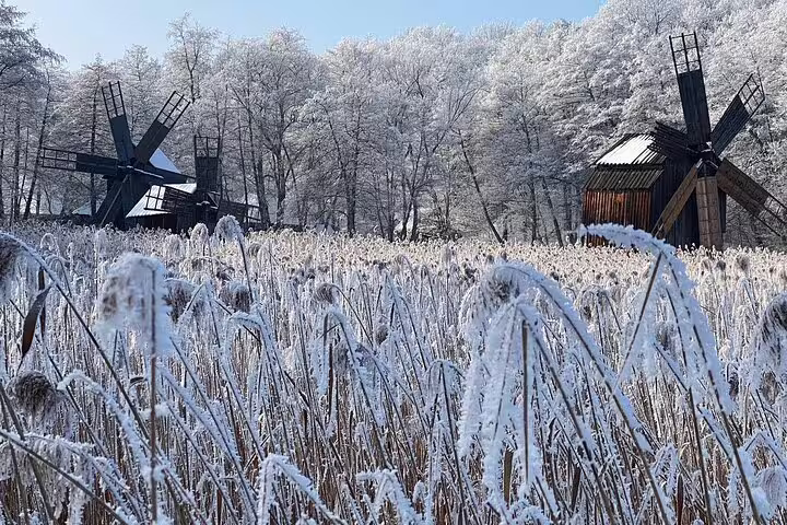 Frost-covered windmills and snow-dusted trees in a winter landscape in Transylvania