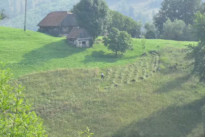 Farmer working on green hillside meadow with traditional wooden farmhouse in Transylvania village