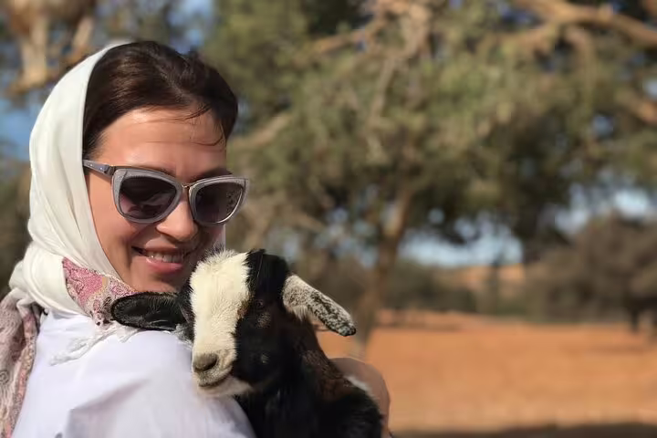 Traveler cuddling a baby goat on a Moroccan countryside visit from Marrakech, authentic 3-day ocean tour