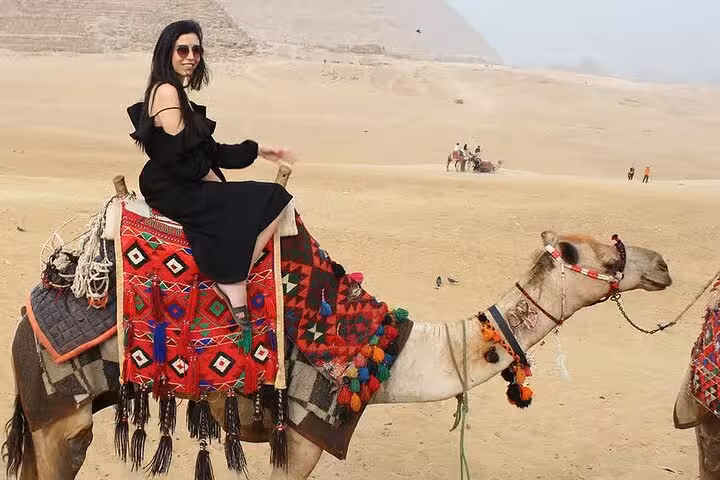 Traveler on decorated camel in Giza desert near pyramids, Cairo, on Giza Pyramids & Egyptian Museum tour