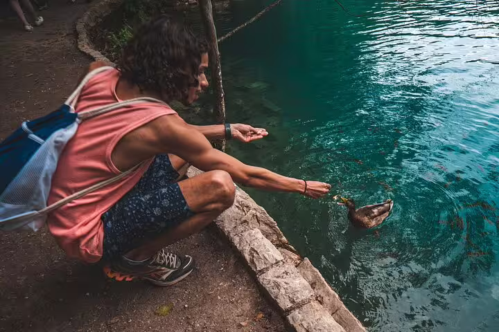 Traveler feeding a duck at turquoise Plitvice Lakes, Croatia, during a scheduled guided tour experience
