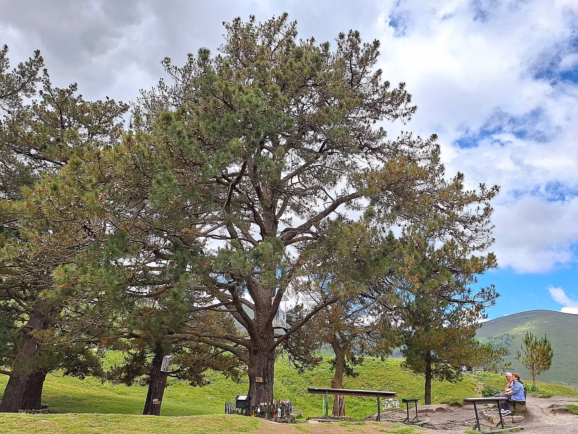 Traveler resting under lush trees in San Sebastian De Garabandal, enjoying a peaceful moment in nature.