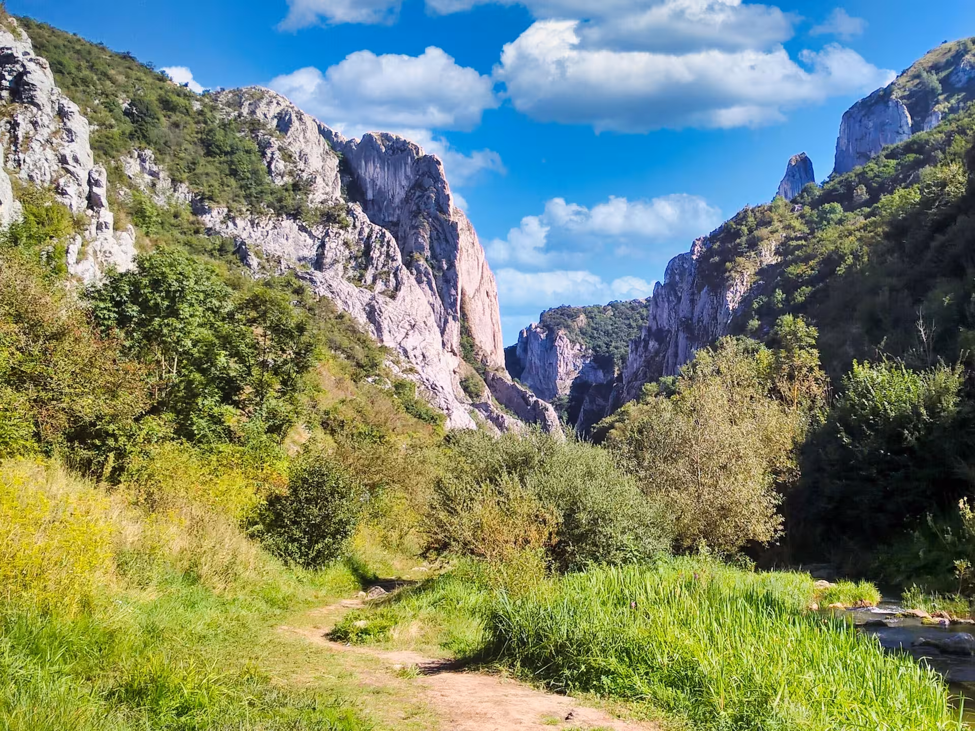 Scenic Turda Gorge hiking trail with towering limestone cliffs and lush greenery on a Cluj day trip