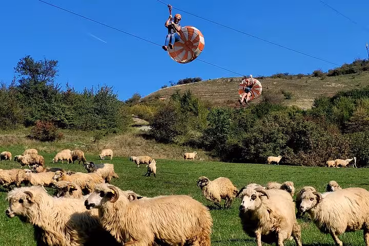 Two people zip lining over a green meadow with a flock of sheep at Turda Gorge, Romania