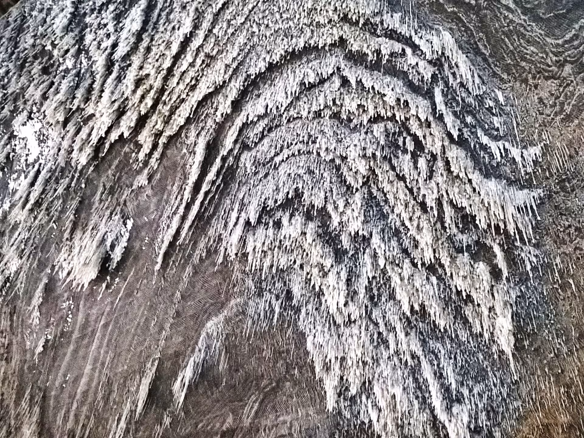 Close-up of ancient layered salt crystal formations on the textured walls of Turda Salt Mine Romania a must-see stop on the Turda and Corvin Castle guided tour from Cluj
