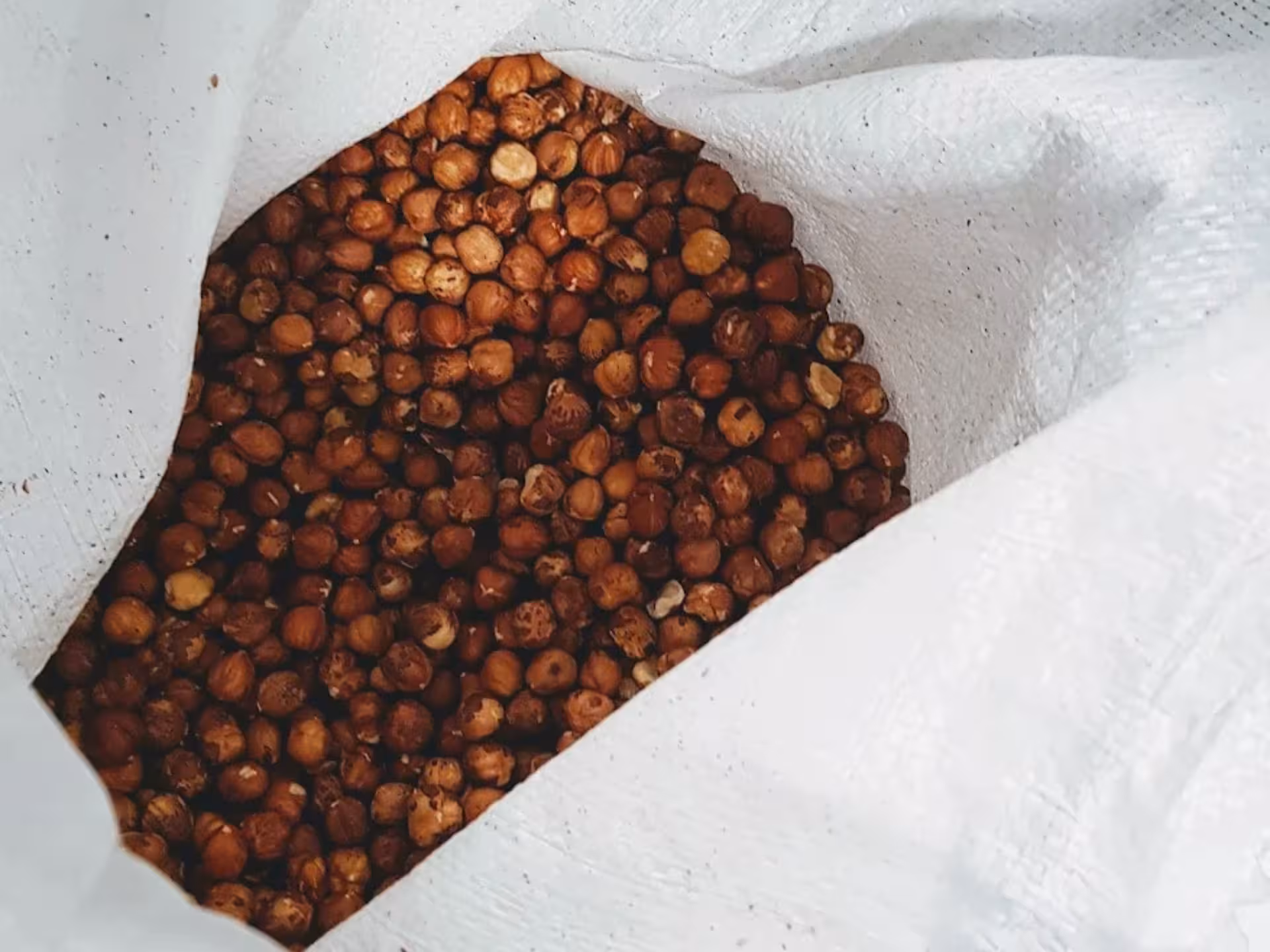 A burlap sack filled with rich hazelnuts, essential for Turin's famous chocolate, on the guided factory tour.