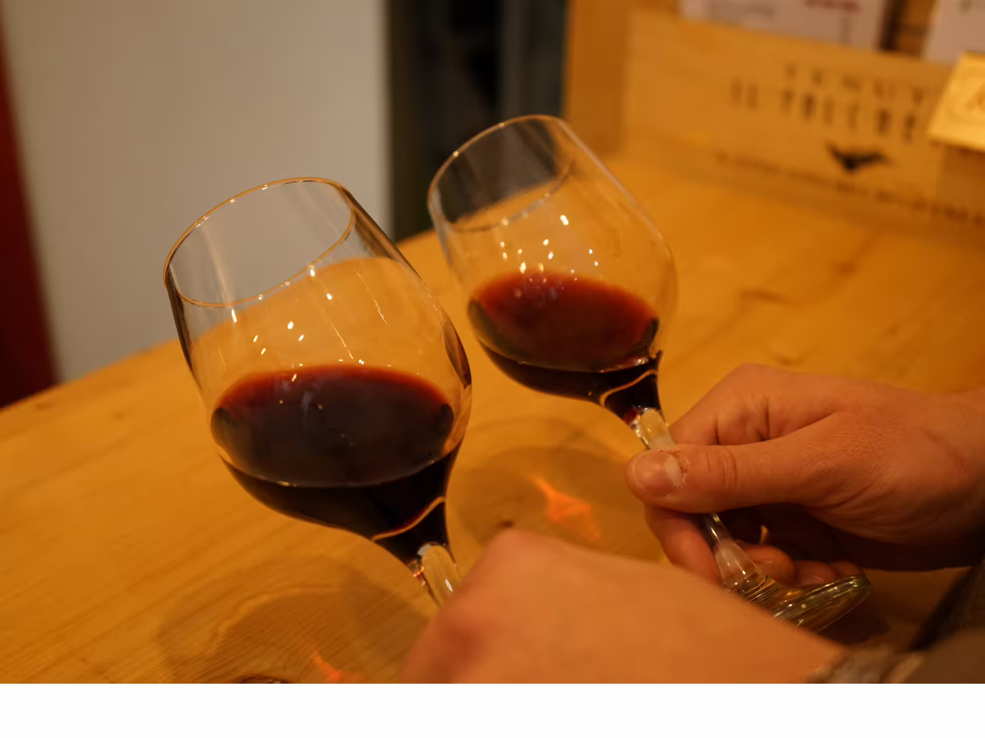 Guests clink red wine glasses during an easy Turin city center wine tasting tour with local Piedmont labels