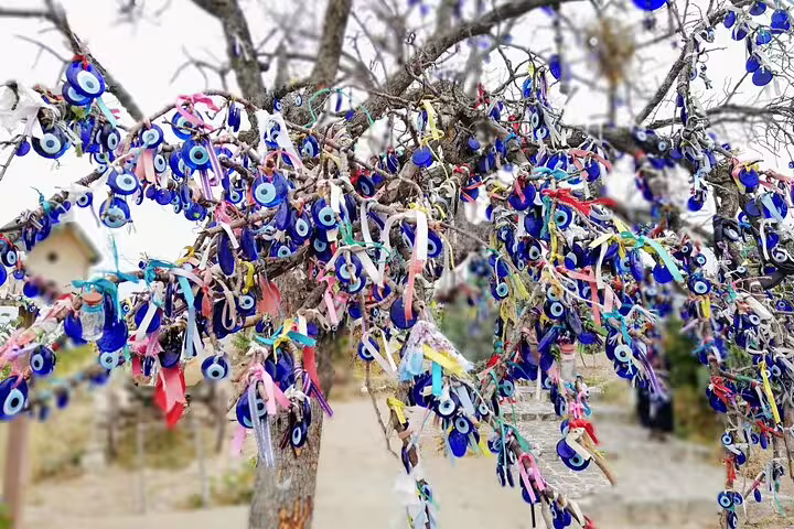 Wish tree covered with blue evil eye charms in Turkey, cultural stop on 8-day mini group tour by flights