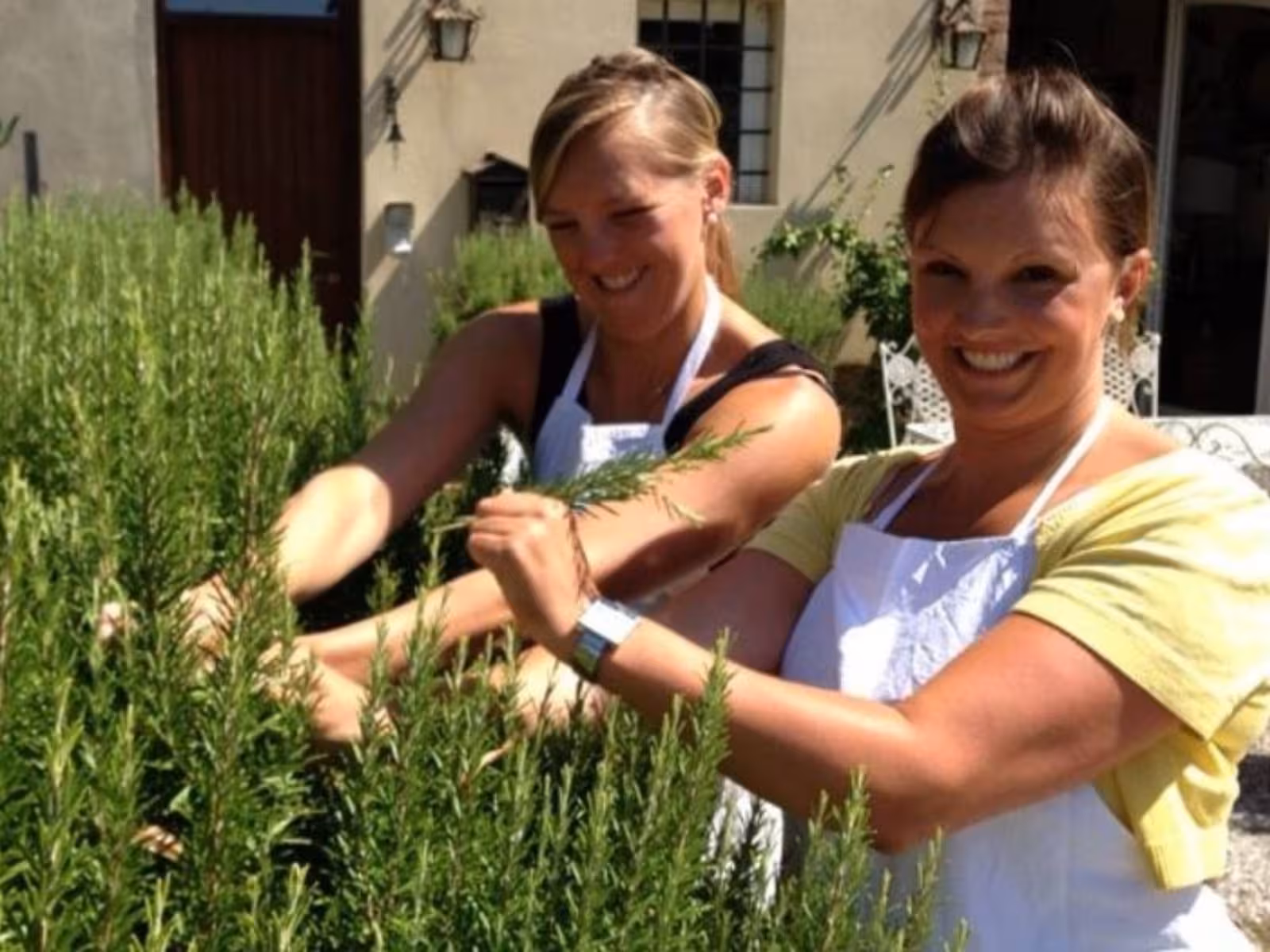Participants harvesting fresh herbs at a Tuscan farmhouse cooking class, enjoying hands-on culinary learning.
