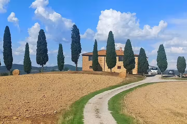 Cypress-lined driveway leading to a traditional Tuscan farmhouse on a private Brunello and Nobile wine tour