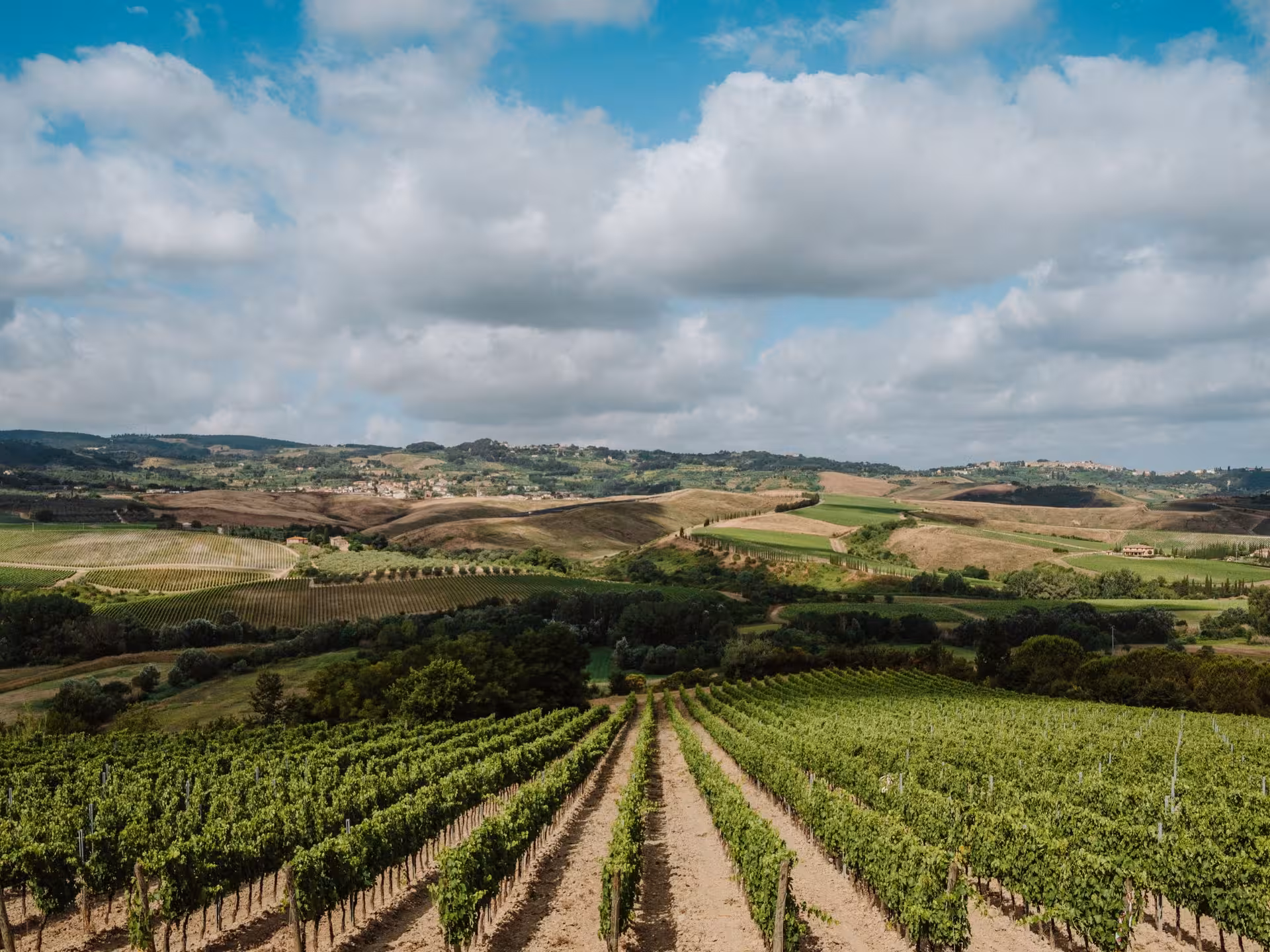 Expansive view of lush Tuscan vineyards near Pisa under a cloudy blue sky, perfect for an Italian wine tour experience.