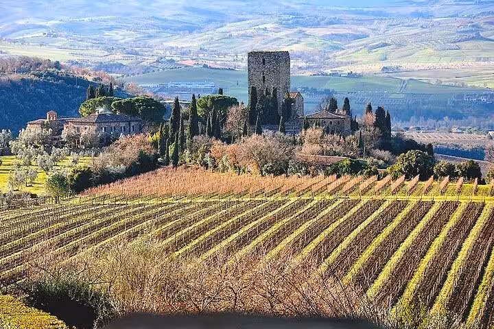 Panoramic landscape of Tuscan vineyards and medieval castle near Lucca, offering a picturesque stop on the tour.