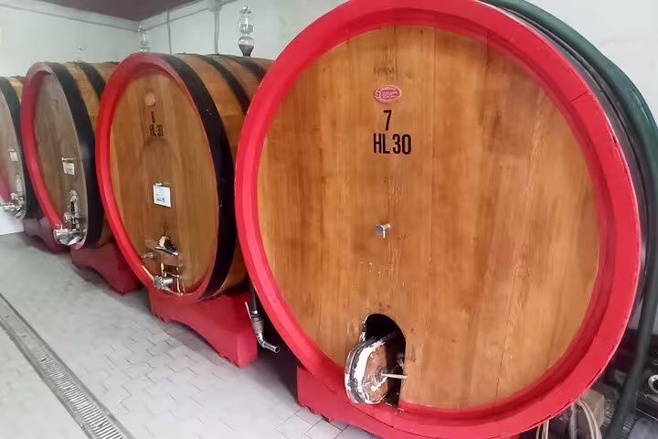 Massive wooden wine barrels in a rustic cellar, showcasing traditional countryside winery aging for grape stomping tours