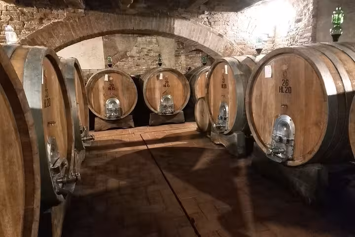 Traditional wine barrels in a stone cellar during a Tuscan wine tasting tour departing from Rome.