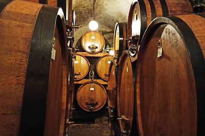 Traditional Tuscan wine cellar with towering oak barrels used for aging prestigious Brunello and Vino Nobile wines