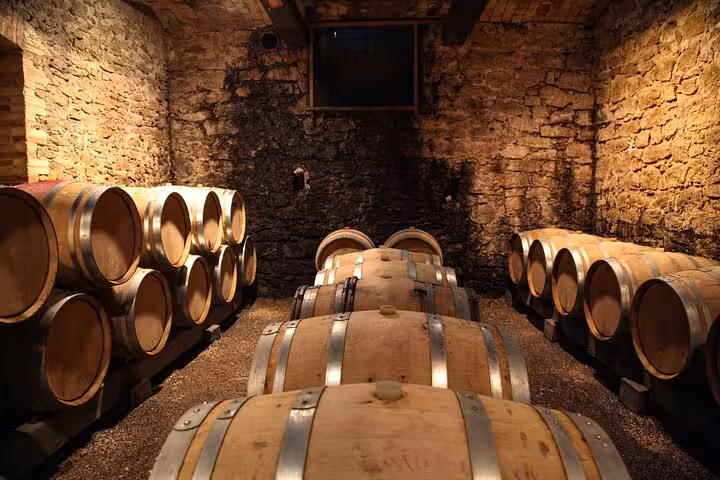 Rustic wine cellar with oak barrels, perfect for a Tuscan wine tasting experience near Rome.