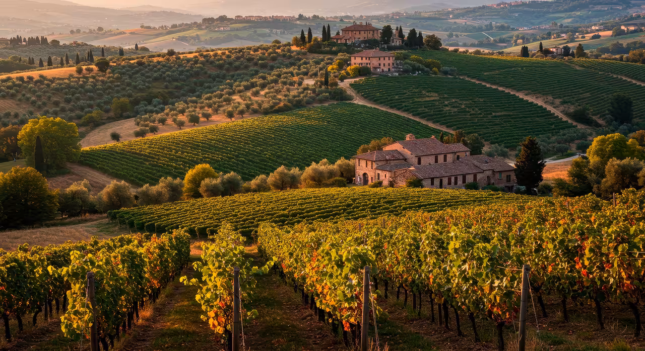 Scenic view of Tuscany vineyards and rustic farmhouses under a golden sunset, perfect for a Tuk Tuk tour experience.