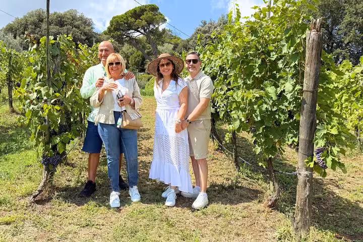 Visitors enjoy a sunny day exploring lush vineyards in Tuscany on a 2-day tour from Florence to Pisa and Cinque Terre.