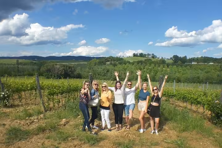 Tourists enjoying a sunny day in a vineyard in Tuscany, highlighting the beauty of Italian wine country.