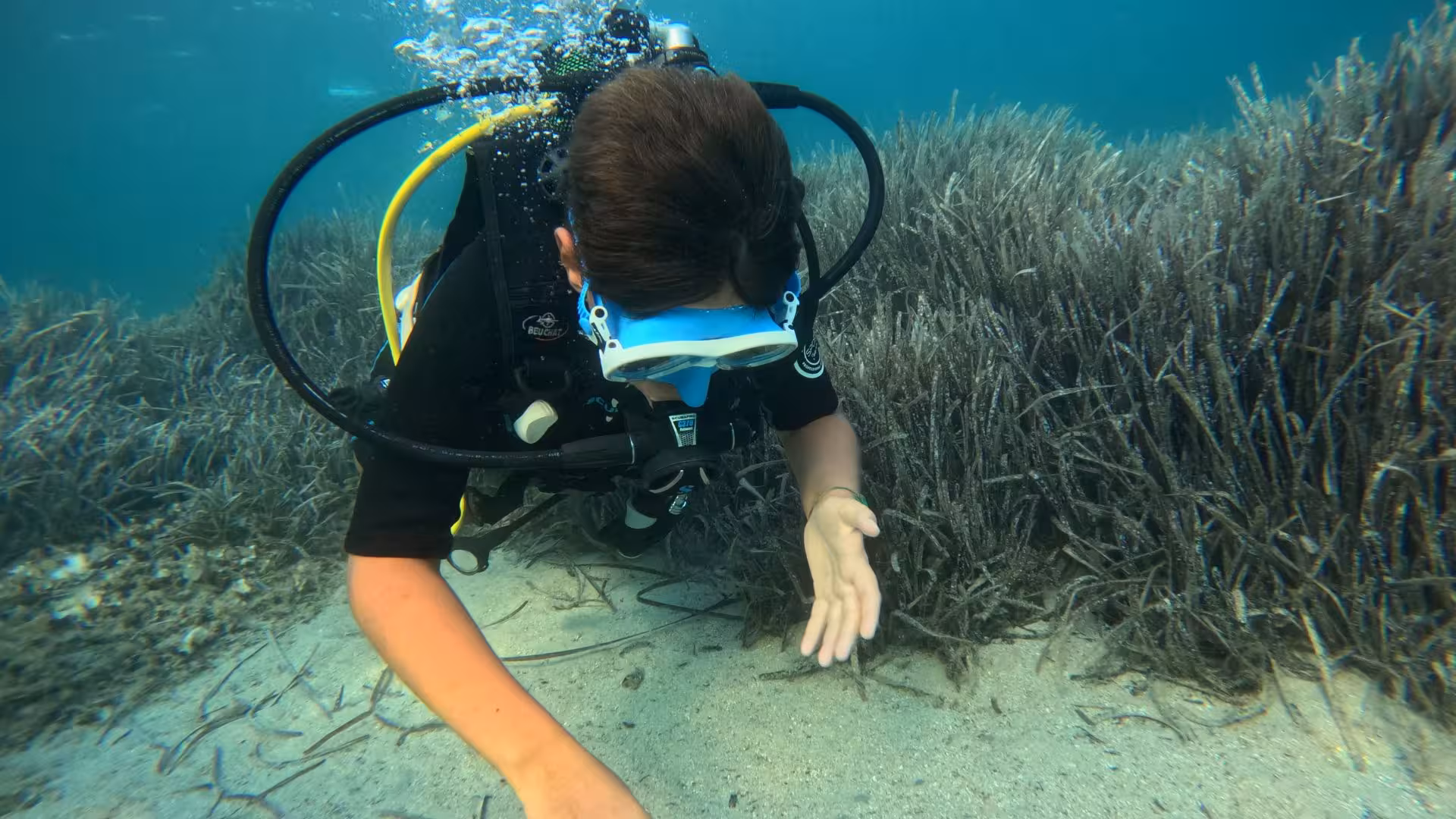 Diver explores vibrant seabed vegetation during underwater baptism at Argentiera, Sassari, perfect for beginners.