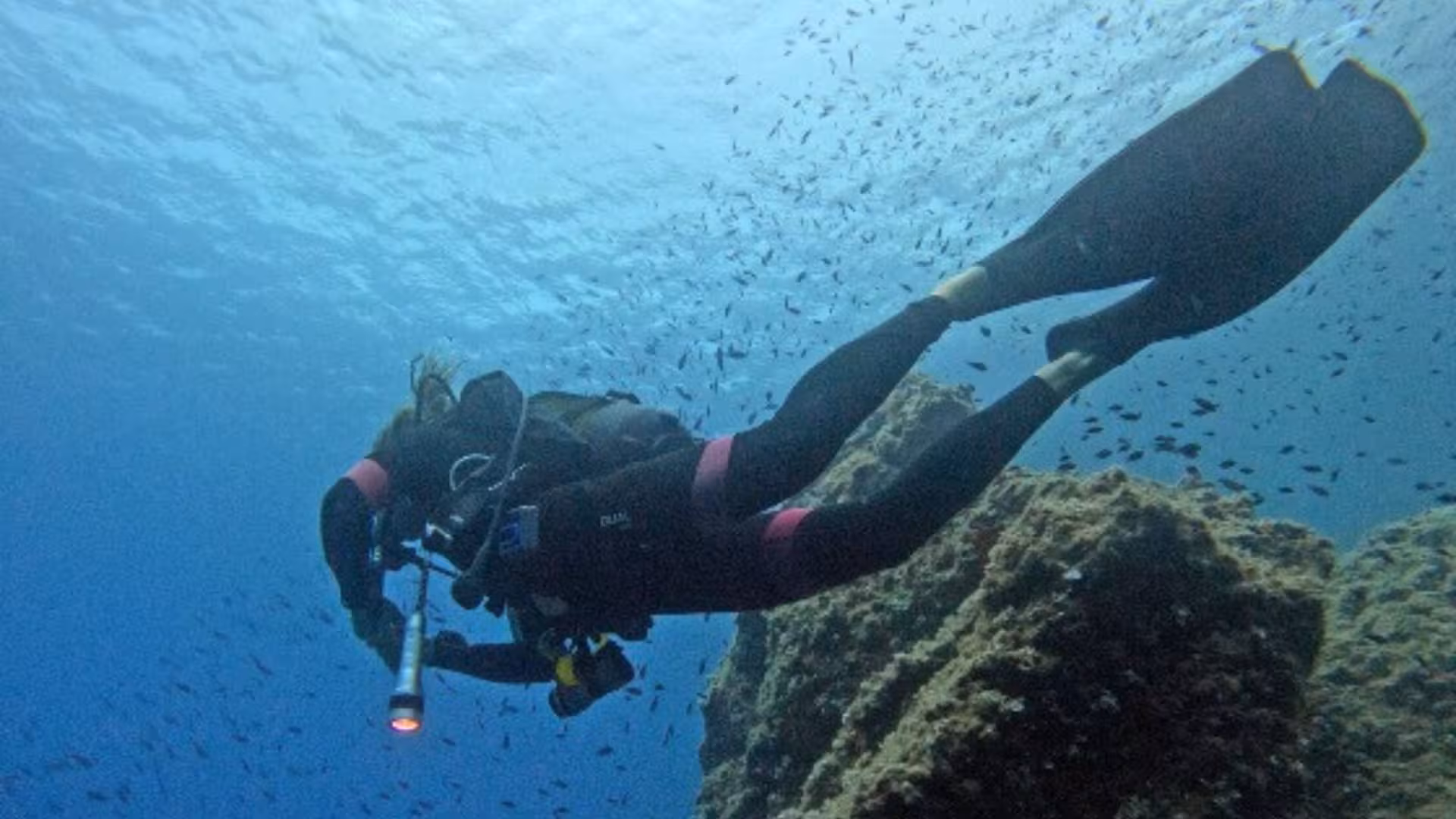 Solo diver with flashlight explores rocky seabed surrounded by fish in the clear waters of Argentiera, Sassari.