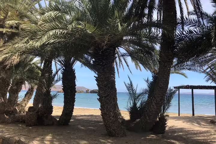 Lush palm trees lining the serene shores of Vai Beach, part of the exclusive VIP excursion.