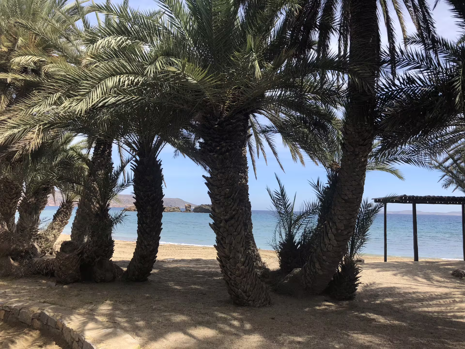 Explore the serene palm-lined shores of Vai Beach on our Vai Beach and Toplu Monastery VIP Luxury Private Tour.