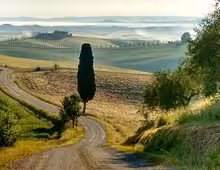 Winding road through Val d'Orcia rolling hills with cypress tree and morning mist, Tuscany