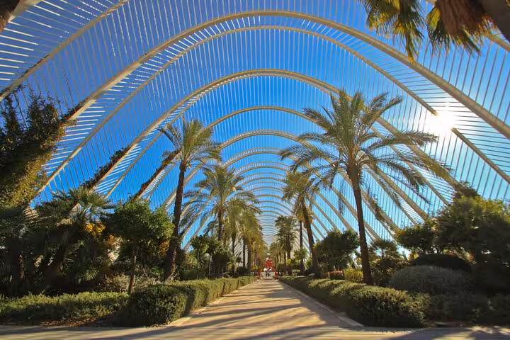 Palm-lined walkway under modern arches at Valencia City of Arts and Sciences on a guided e-bike tour