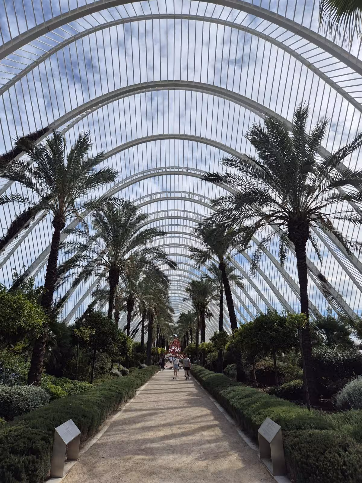 Palm-lined walkway under L’Umbracle in Valencia City of Arts and Sciences, featured in the audio guided City Quest