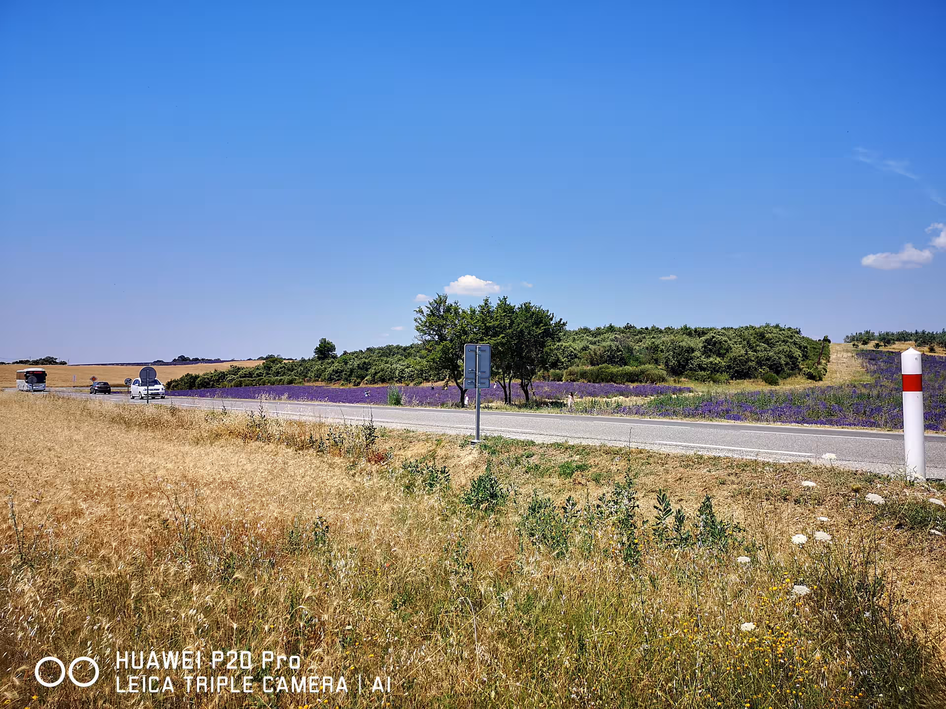 Valensole Plateau roadside view with lavender fields, a classic photo stop on a Marseille private day trip