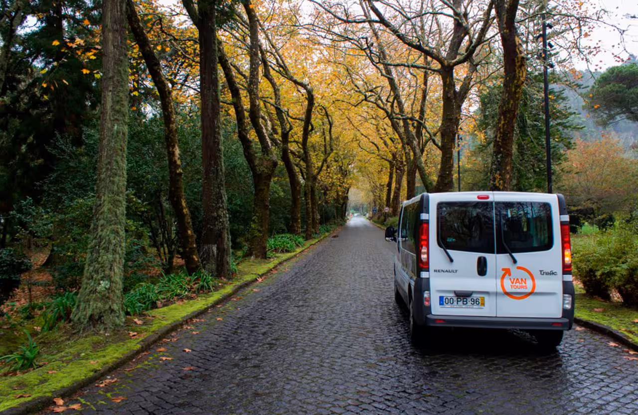 Van tour driving through lush forest road in São Miguel, Azores, on Lagoa do Fogo half-day excursion
