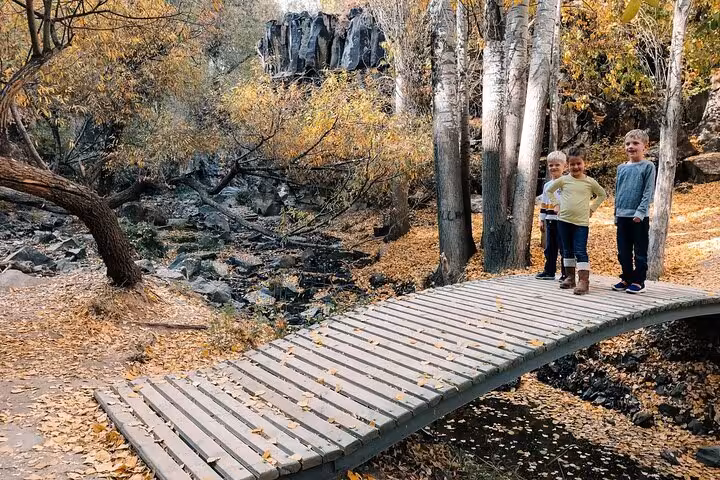 Wooden footbridge in a Van, Turkey forest with autumn leaves, family-friendly stop on a private guided 3-day tour