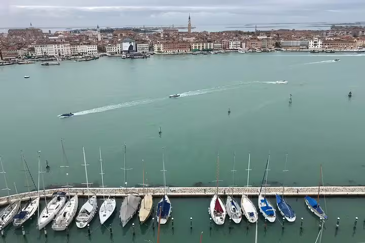 Aerial view of Venice marina with sailboats and historic skyline on deluxe heritage tour.
