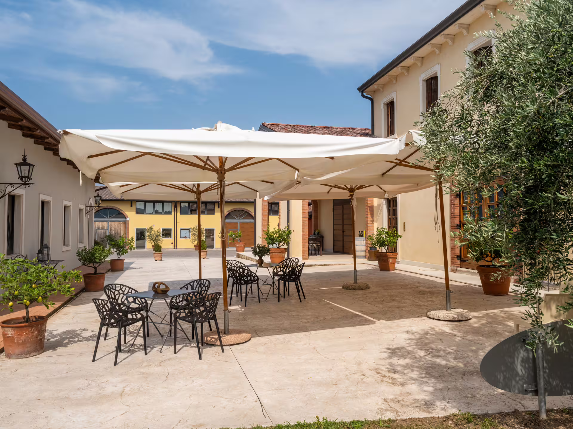 Shaded courtyard seating at a Verona olive mill, relaxing spot for extra virgin olive oil tasting after the tour