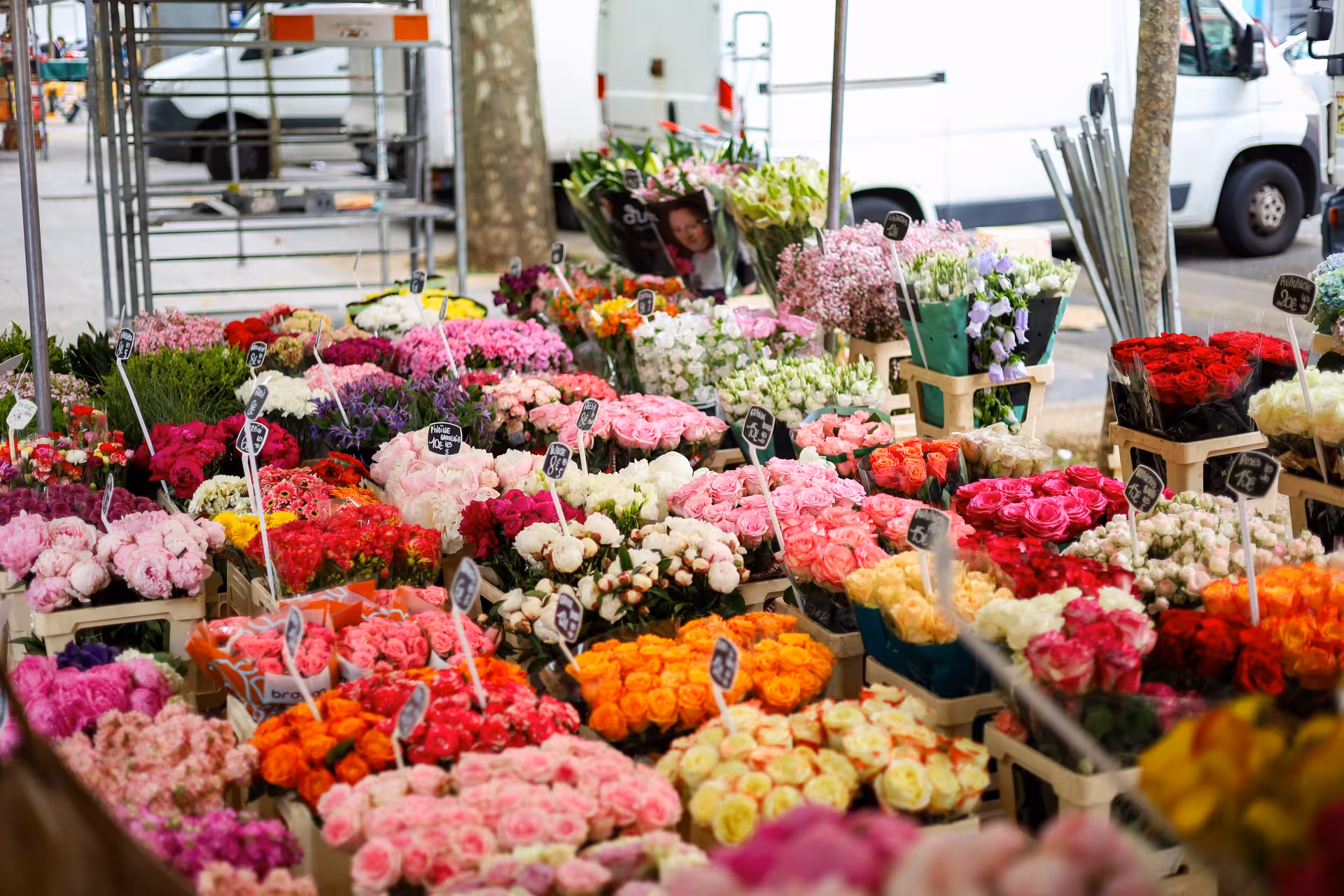 Colorful flower market stalls with roses and bouquets at Versailles outdoor market